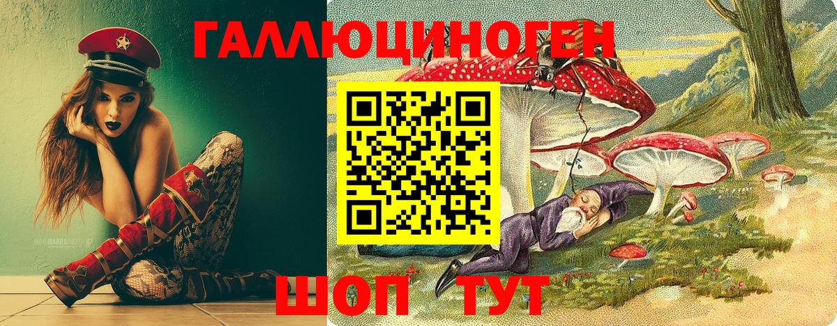 Псилоцибиновые грибы Cubensis  Вход с VPN  Борзя 