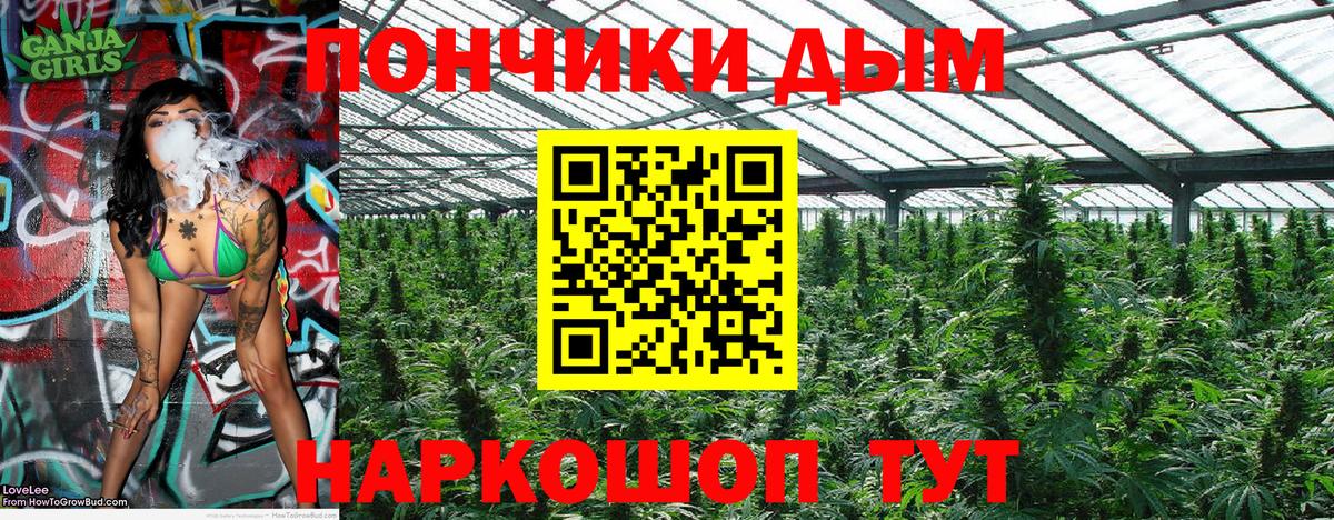 Канабис сатива  МАРИХУАНА индика  Вход с VPN  Борзя 